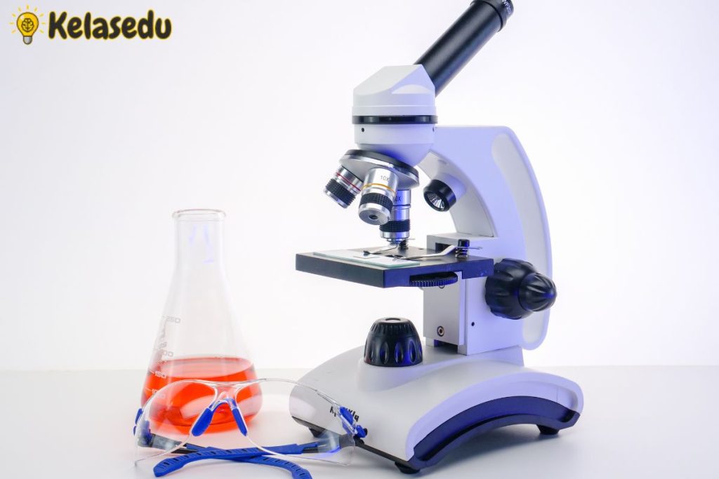 Mikroskop Pengertian, Fungsi dan Cara Kerjanya